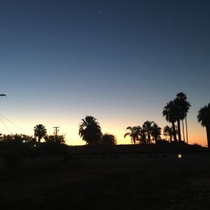 Meet your Posher, Brendan